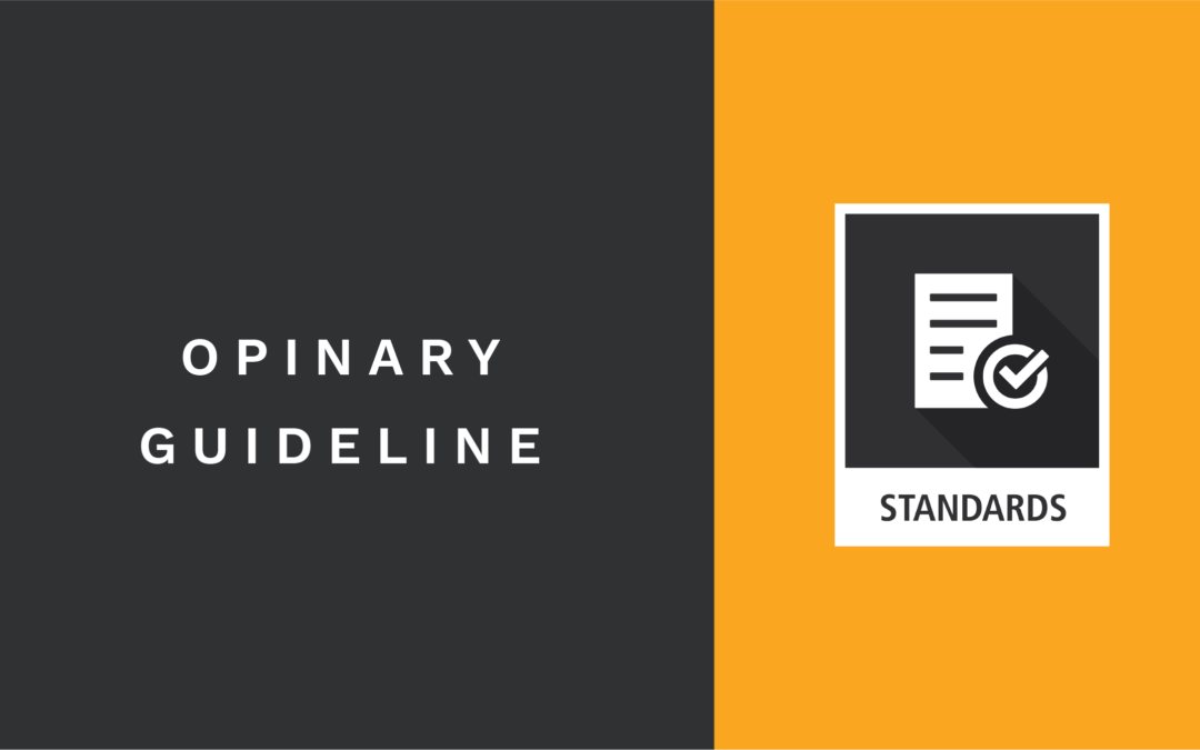 How to Opinary – Von der Frage bis zur Platzierung im Opinary Publisher-Netzwerk