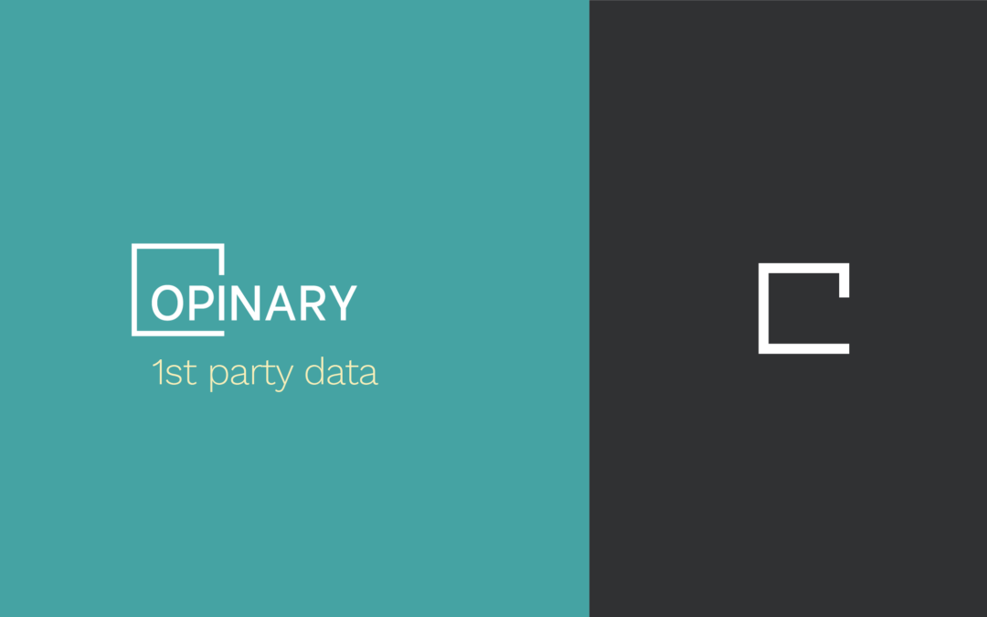 Wie Digitalverlage Umfragen auf ihren Seiten nutzen, um 1st-Party-Daten zu generieren